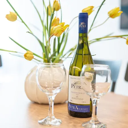 Appartamento Ameda Luxury