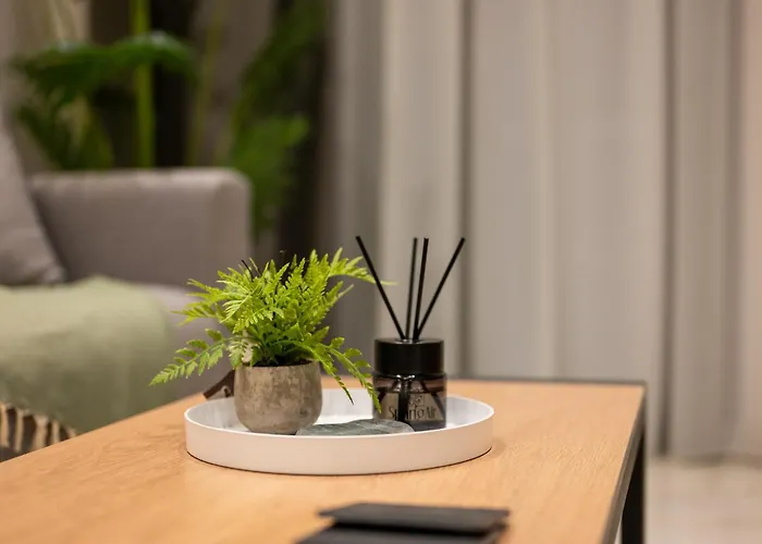 Ameda Luxury 아파트 *